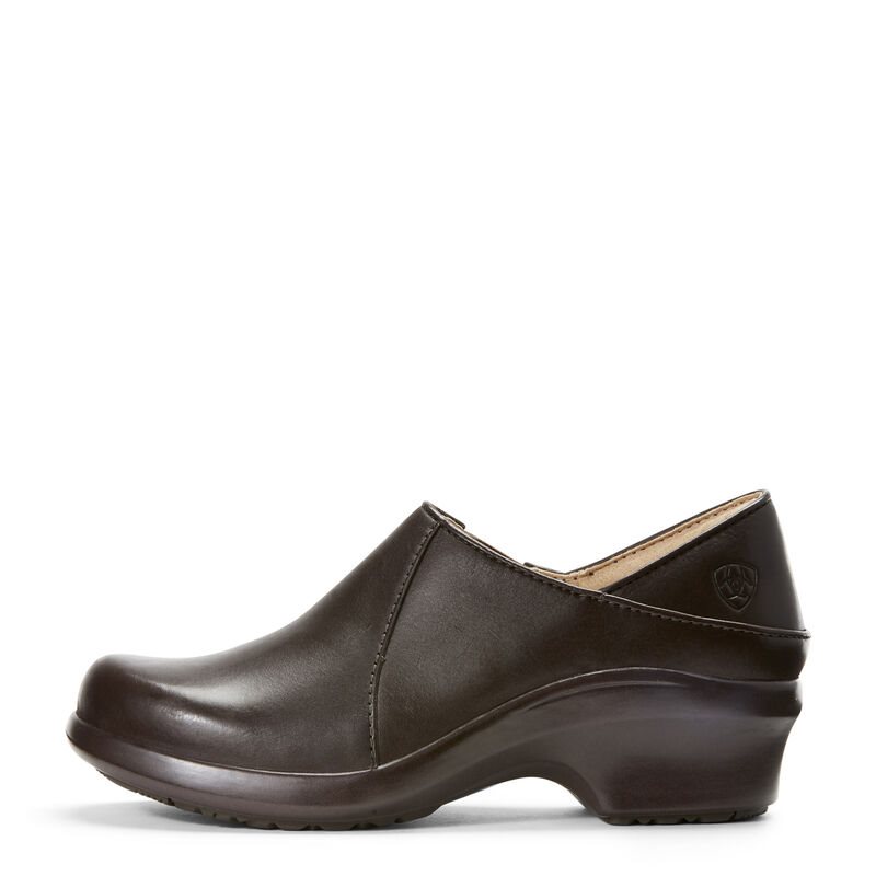 Ariat Hera Expert - Klompen Schoenen Chocola Dames - 11652-293